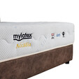 Mylatex Accadia Natural Latex 10" Mattress